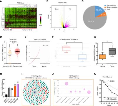 SP1-Induced Upregulation of lncRNA LINC00659 Promotes Tumour Progression in Gastric Cancer by Regulating miR-370/AQP3 Axis